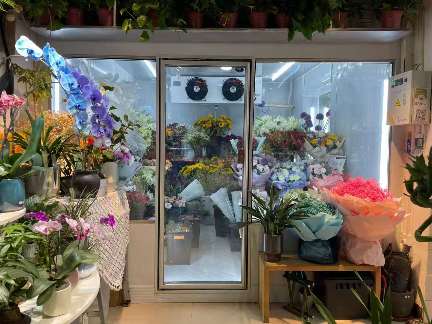 鲜花冷库